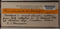 Image Associated With the Occurence